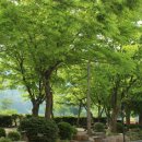 안나농원 이미지