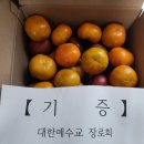 성북과일