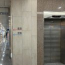 광교 슈앤로이왁싱 브라질리언 내돈내산? 솔직 방문 후기