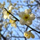 그린라빈 | 어제 일기 (2026.3.22)