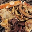 모둠 주식회사 이미지