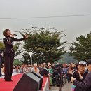 모란5일장 이미지