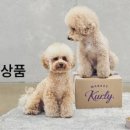 육마켓