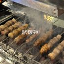 일미양구이 | 일미양구이 익선동점ㅣ내돈내산 종로3가 양꼬치 맛집ㅣ느끼했던 솔직후기🍽