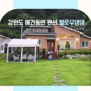 헬로우댕댕 이미지