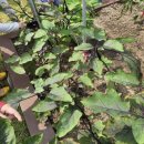 아름그루 유치원 이미지