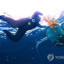 해녀