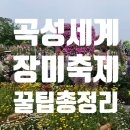 2026년 5월 곡성세계장미축제 솔직후기! 축제기간 입장료 주차장 등 축제정보 총정리