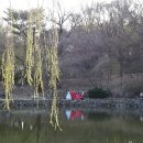여행114 이미지