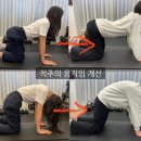 바디랩운동센터