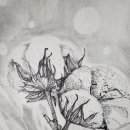 연필정밀ㅡ울산북구농소농협 이미지