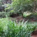 인천미추홀소방서119구조대 이미지