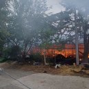 양계장닭한마리 이미지