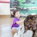 송탄윤서어린이집 이미지