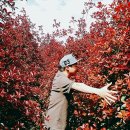 이티농장 이미지