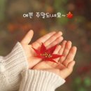 11월 8일(토) &#39;철도+도로&#39; 교통퍼즐 완성 소멸위기 정선 대안 될까 이미지