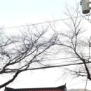 산미식당 이미지