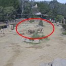 어쎔블 서울신문