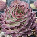 G0112 네이버블로그