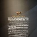 검도풍납본관 | 서울 잠실 한성백제박물관 주차 입장료 아이와 가볼만한곳