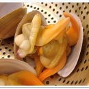 5평바다 Daum카페