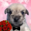 6-027 TS | 무진장 상의/잡화데이 장바구니