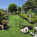 양평 스터닝 뷰 이미지