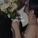 스튜디오돌