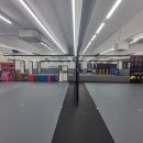 용인대학교 태권도대학원 이미지