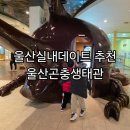 울산연구원 실내 화장실 | 울산실내가볼만한곳 울산곤충생태관 주말방문후기