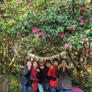 제주기사 | 제주도 택시대절 가격 기사포함 제주 택시관광 비용 이용 후기