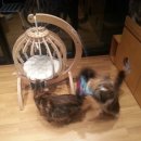 메인쿤 하우스 이미지