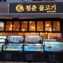 청춘물고기