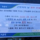 금강농협 이미지