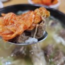청주본가왕갈비탕 금왕점 | 청주 운천동 맛집, 25년 전통 '청주 본가 본점'에서 왕갈비탕 + 물냉면 먹고 온 후기! (내돈내산)