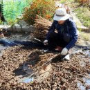 가을농장 이미지