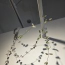 루시헤어샵 - 충주시 | 루시헤어샵