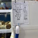 산하 공중화장실 | 이백이십한번째 돼낑, 물망초(feat. 부산하면조개구이조개구이하면영도태종대물망초)