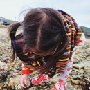 송이어촌민박 이미지