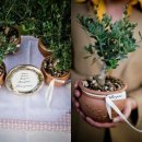 유럽농장 이미지