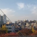 디스코 팡야 이미지