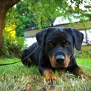 국민행정심판행정사사무소 이미지