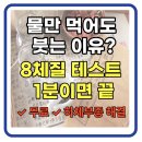 짐더독 | 8체질 자가진단 테스트 무료 소화불량 하체부종 1분 자가진단 링크