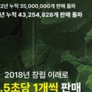 라헬뷰티인셀덤