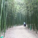 대밭민박 이미지