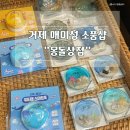 몽돌상점 - 1739 | 몽돌상점