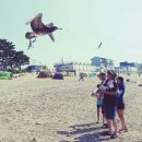 (주)진광