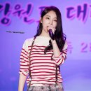 대관령 야외공연장 이미지