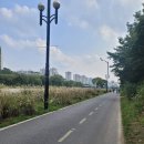 야탑동 351 (분당차병원) 이미지