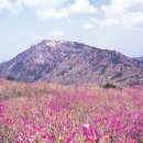 현풍초등학교 뒤쪽 이미지